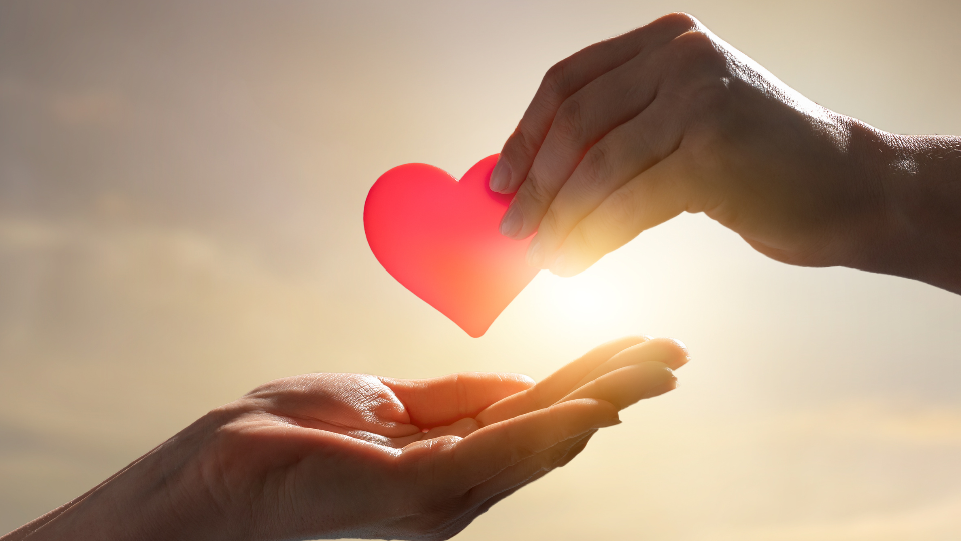 Loving Others as Yourself sample instructional copy (12)